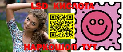 крисы Донецк
