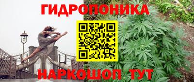 крисы Донецк