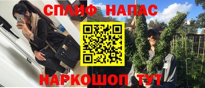 ГАЛЛЮЦИНОГЕННЫЕ ГРИБЫ Донской