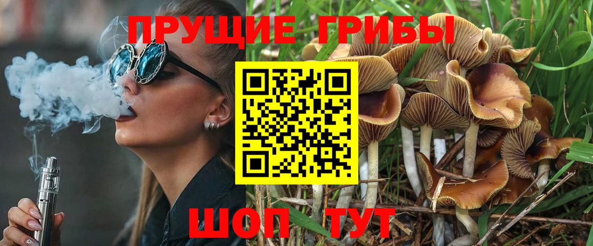Магадан  Псилоцибиновые грибы Magic Shrooms  Вход с VPN  Псилоцибиновые грибы ЛСД 