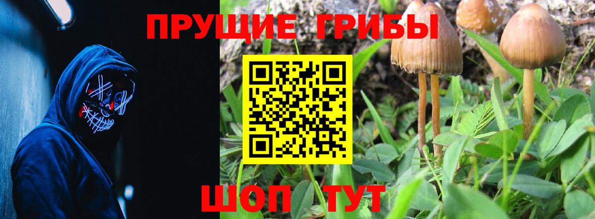 Псилоцибиновые грибы прущие грибы Магадан